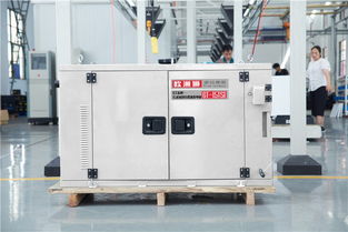 工廠直銷15千瓦柴油發(fā)電機(jī) 穩(wěn)定動力的可靠選擇